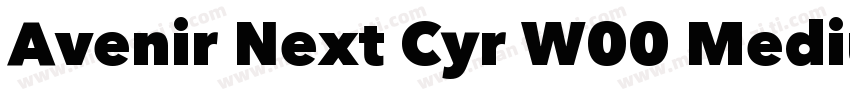 Avenir Next Cyr W00 Medium字体转换